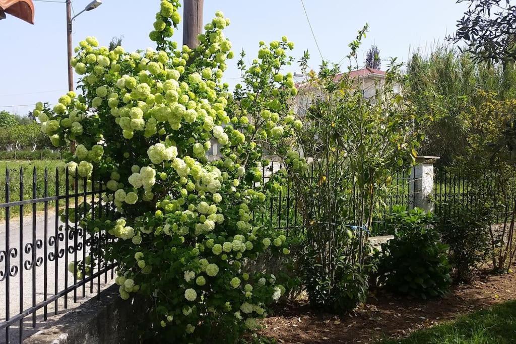 New Village Studios, Preveza A3 외부 사진